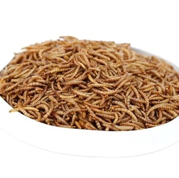 Dried mealworms with high nutrition top grade fish food