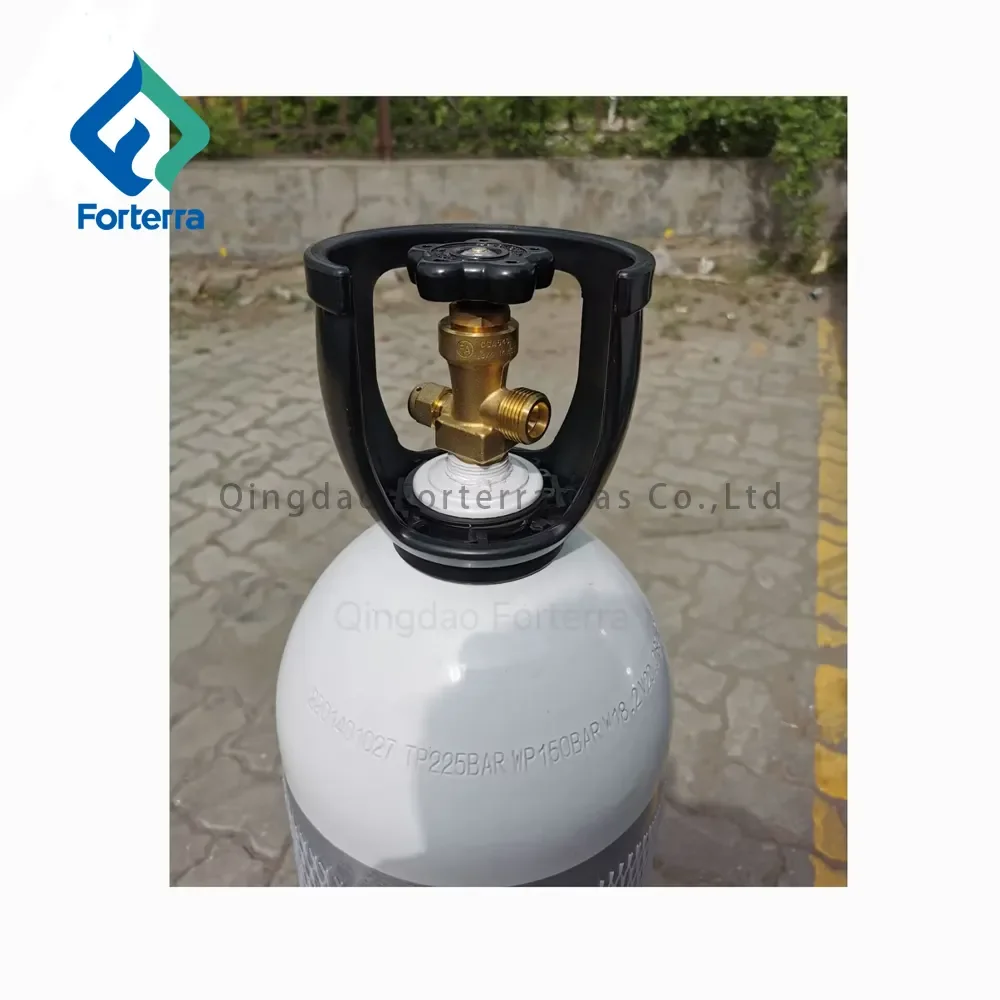 Wholesale Factory Good Quality Professional Industrial Plastic CH-02-ABS Guards Cylinder Carry Handle For  Gas Cylinder