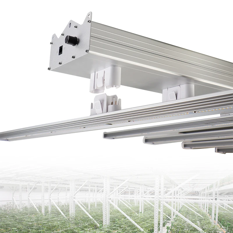 USA Stock Commercial 600w 800w lm301b lm301h Dimmable Full Spectrum Indoor Plants LED Grow Light with UV IR