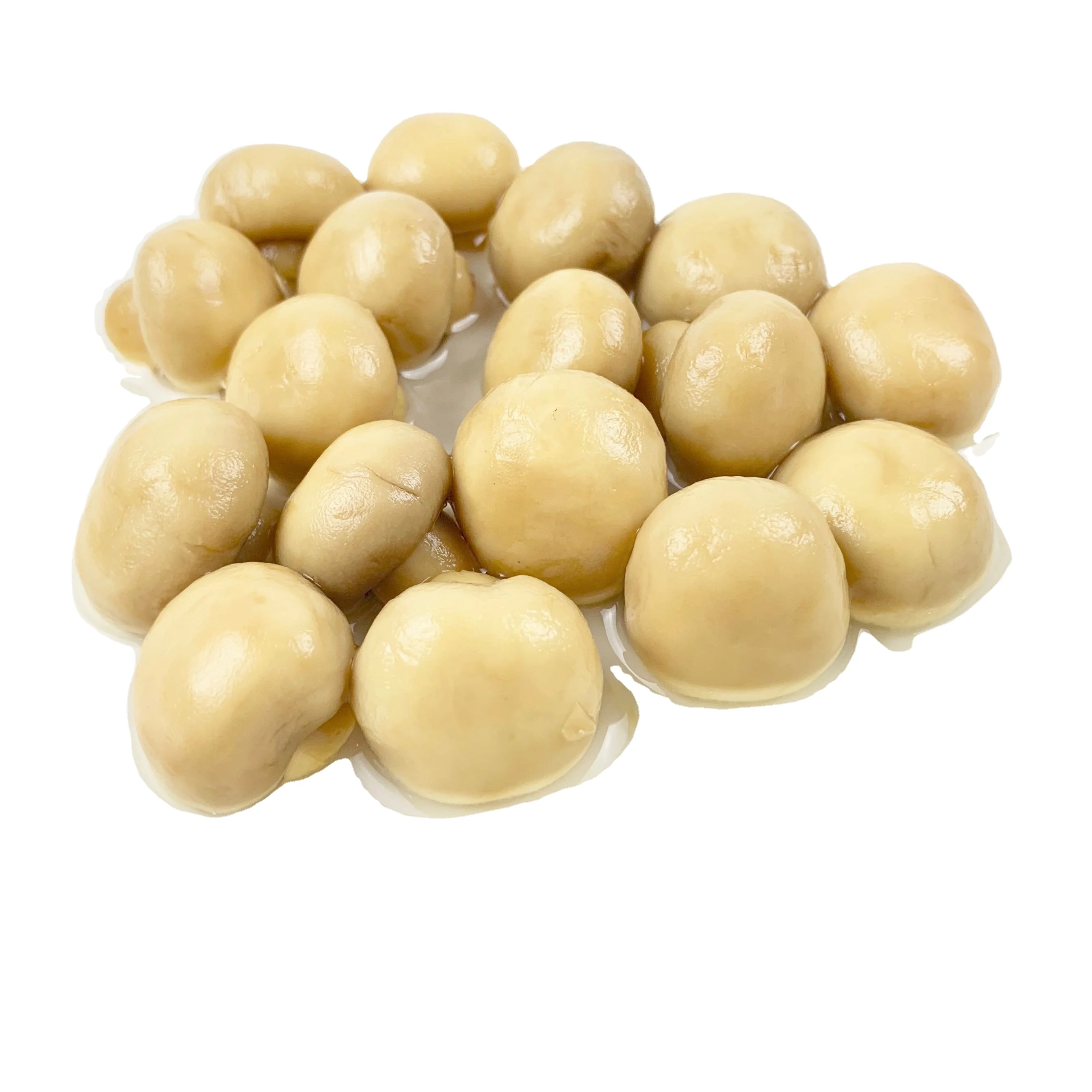 best canned mushrooms  champignon in brine cans wholesale price