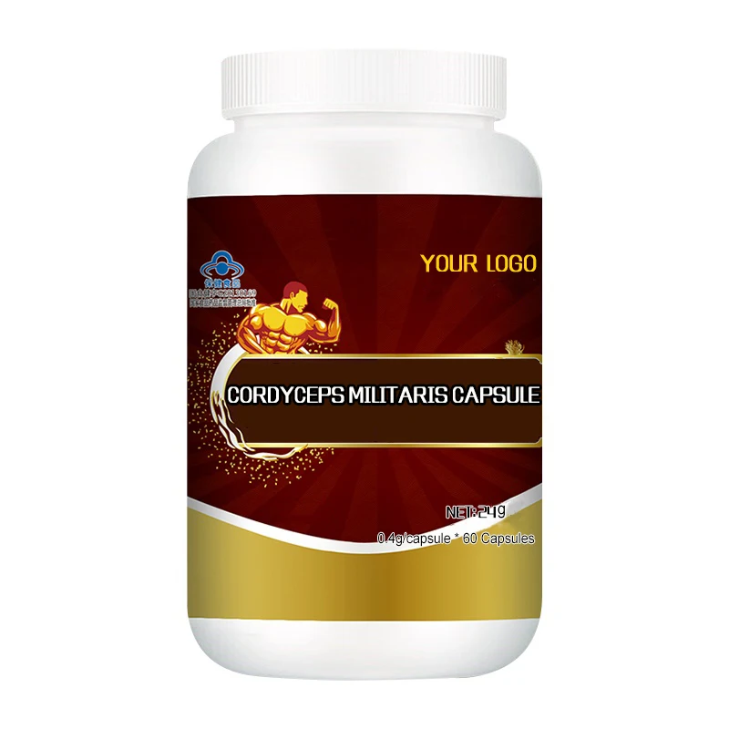 cordyceps sinensis Extract supplements cordyceps militaris capsule  healthcare supplement