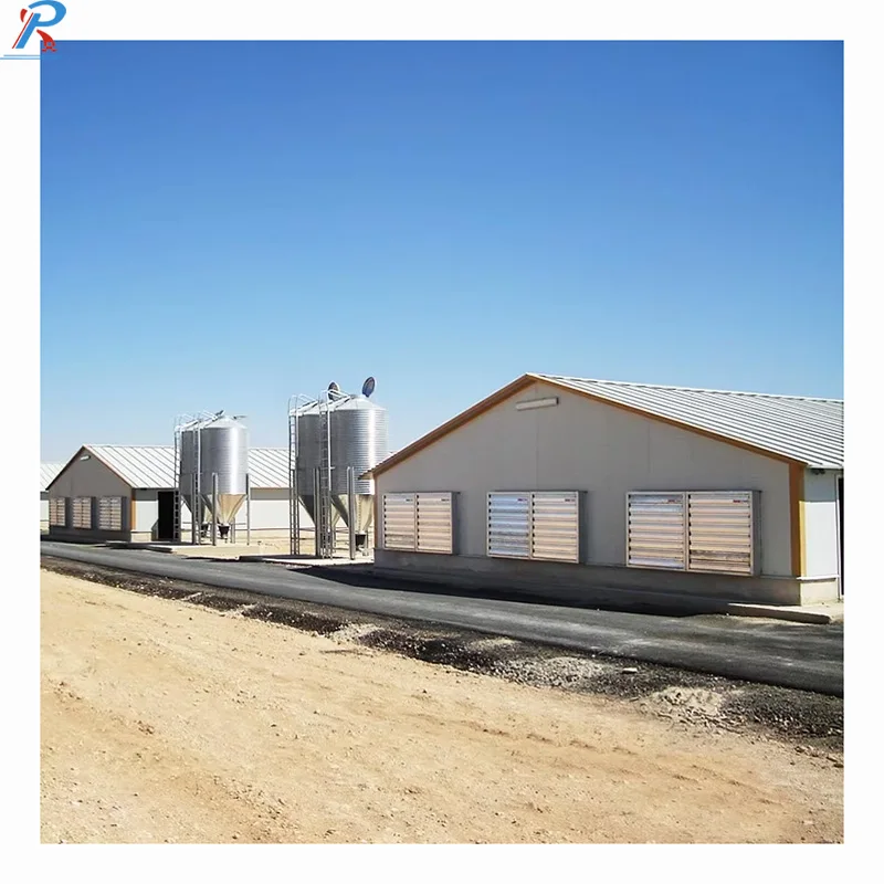 Prefab Chicken Farm Steel Structure Poultry Farm And Layer Hen House Chicken Broiler Shed