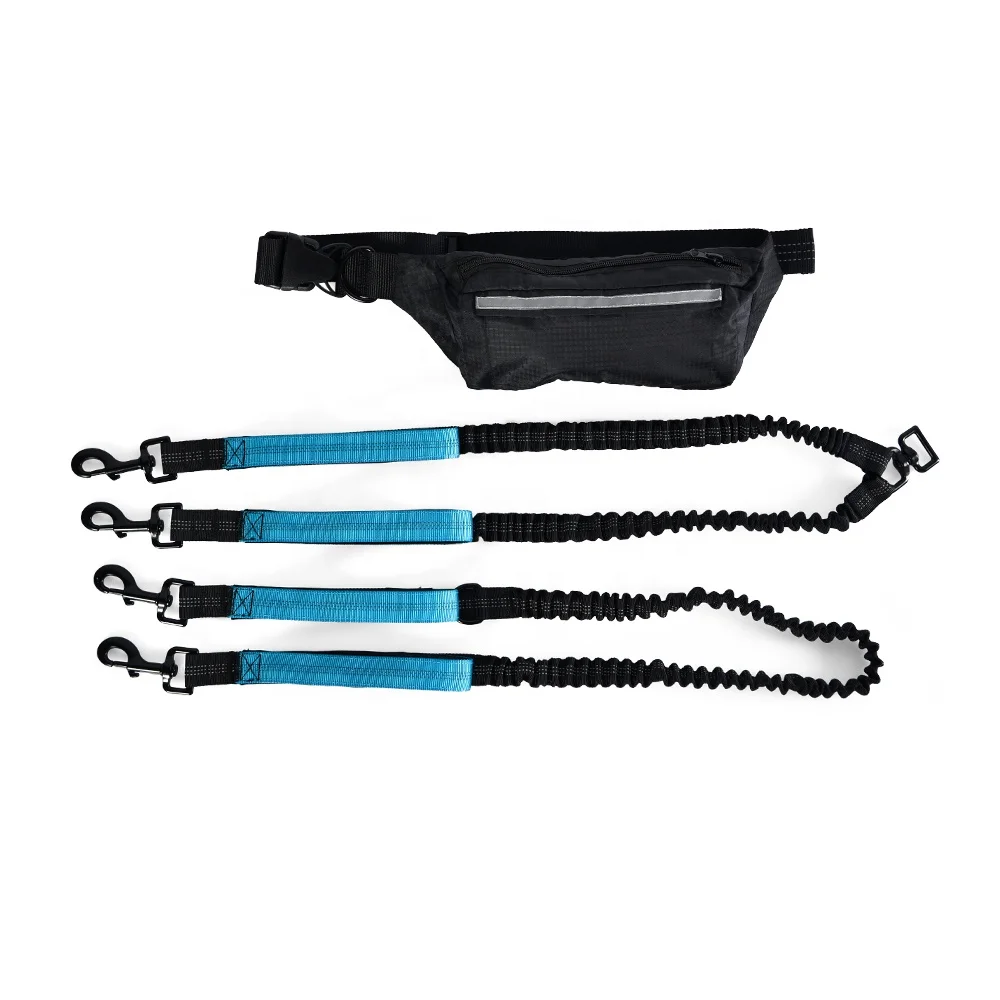 Overseas Shipment Reflective Hands Free Waist Bag Retractable Double Rope Pet Dog Leash