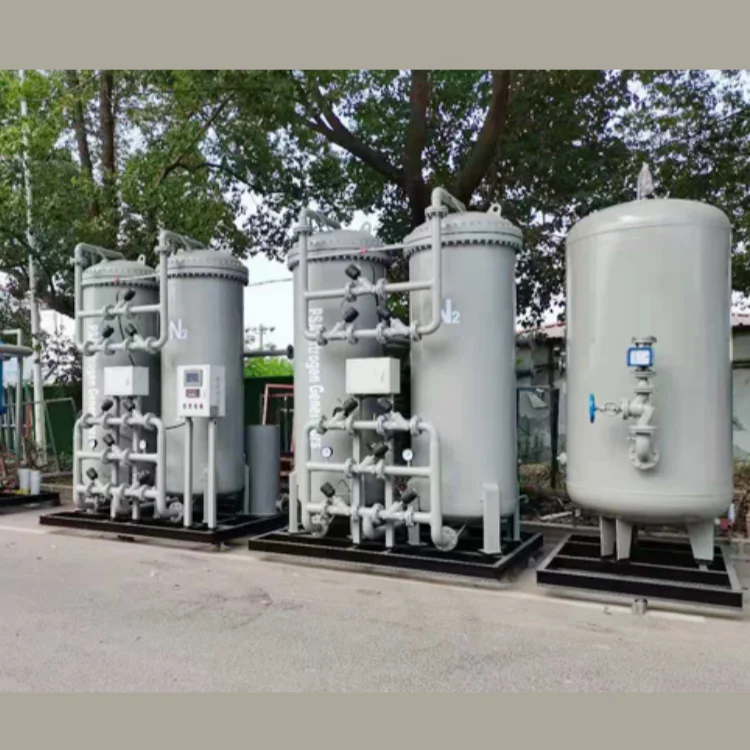 PSA Gas Generator Equipment Oxygen Nitrogen for Food protection