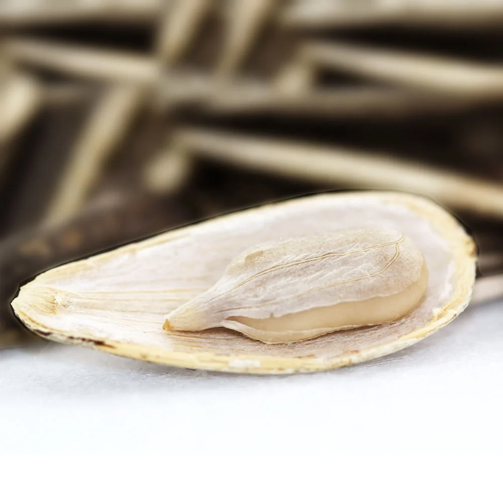 Premium Quality Organic Bulk Large Sunflower Kernels Seeds Wholesale Inner Mongolia 100% Natural 25/50kg Pp Woven Bag Packaging