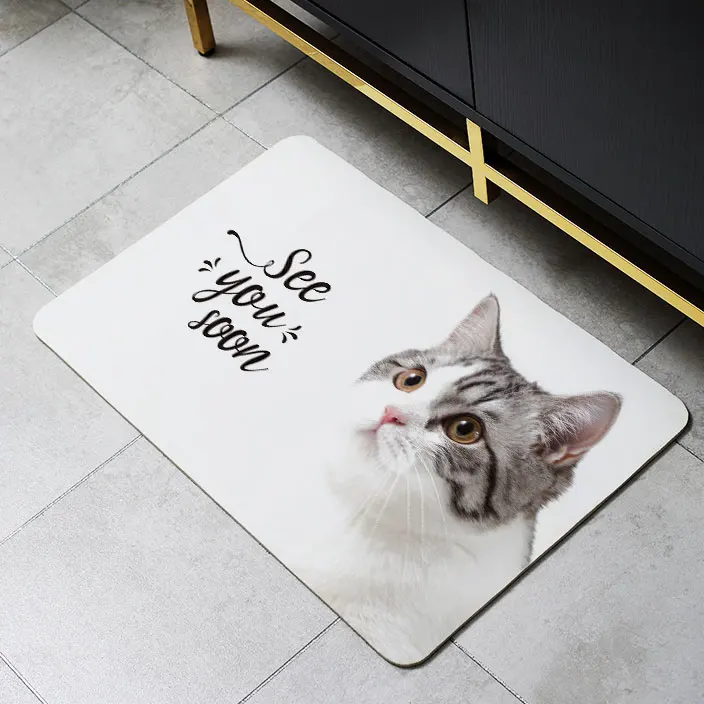 Marble Style Custom Printed Quick-drying Indoor Outdoor Diatom mud Bathroom shower Rug Mat