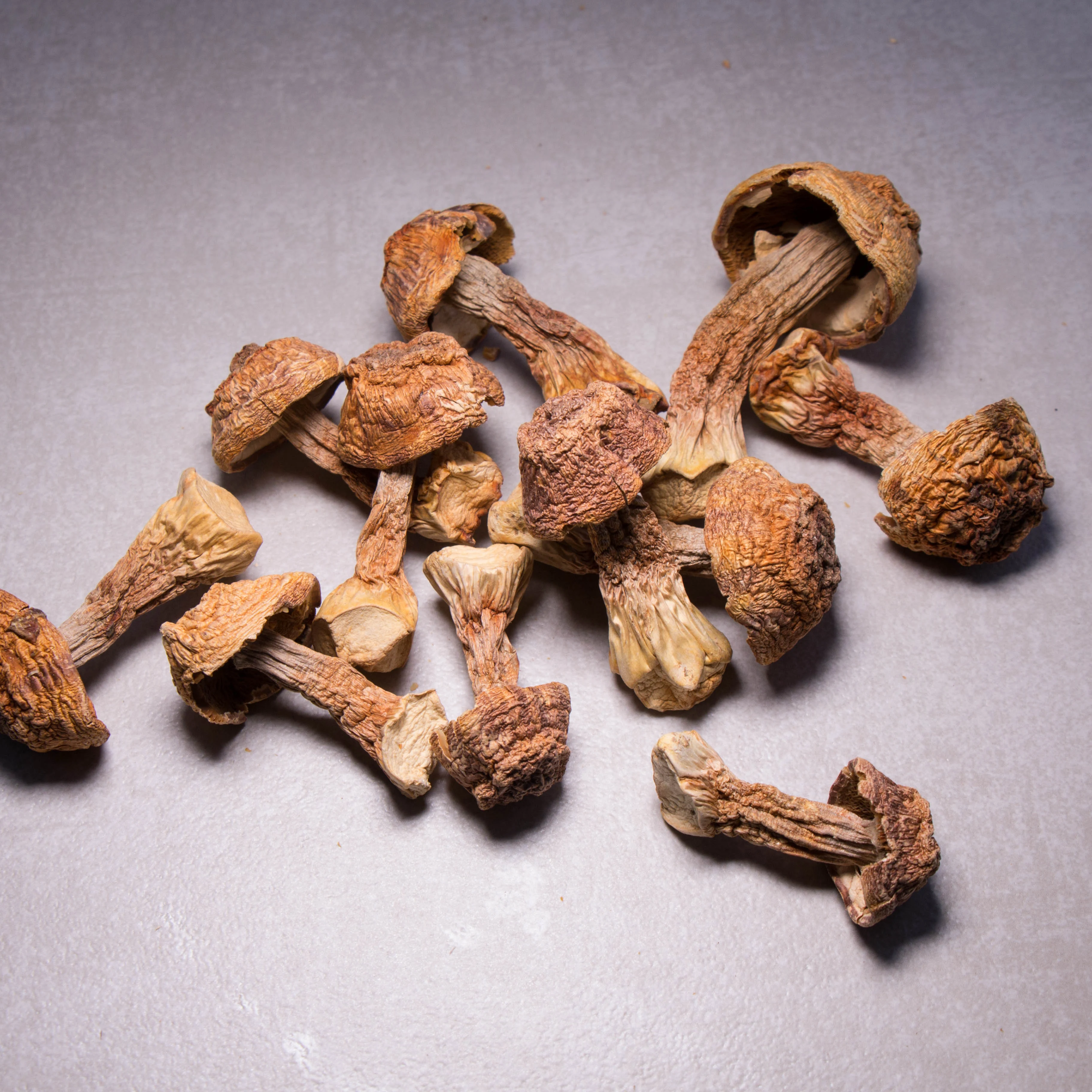  Сухие товары Agaricus blazei 500 г фирменные натуральные грибы Юньнань/грибы