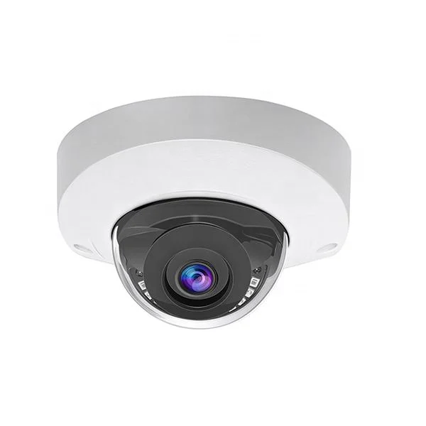 5MP POE IP66 dome 2.8mm fixed lens night vision vandal proof IP security camera with human body detection