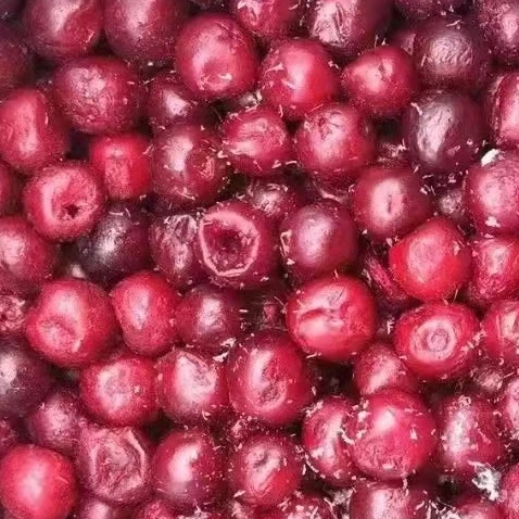 Wholesale Fresh IQF Frozen Sour Cherry Fruit
