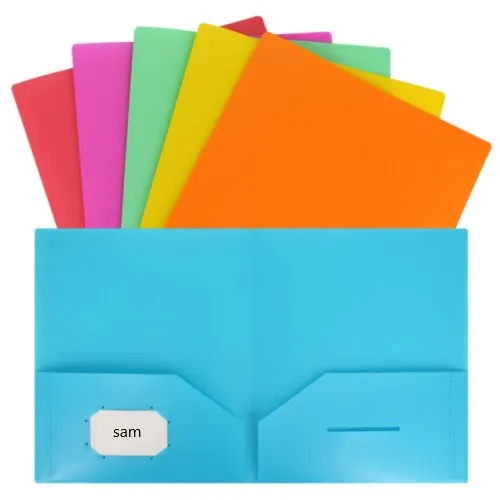 Chinese Factory Top Quality Best Price 6 Colors Heavy Duty Plastic 2 Pocket Folder 12 Pack Plastic Pocket Folders