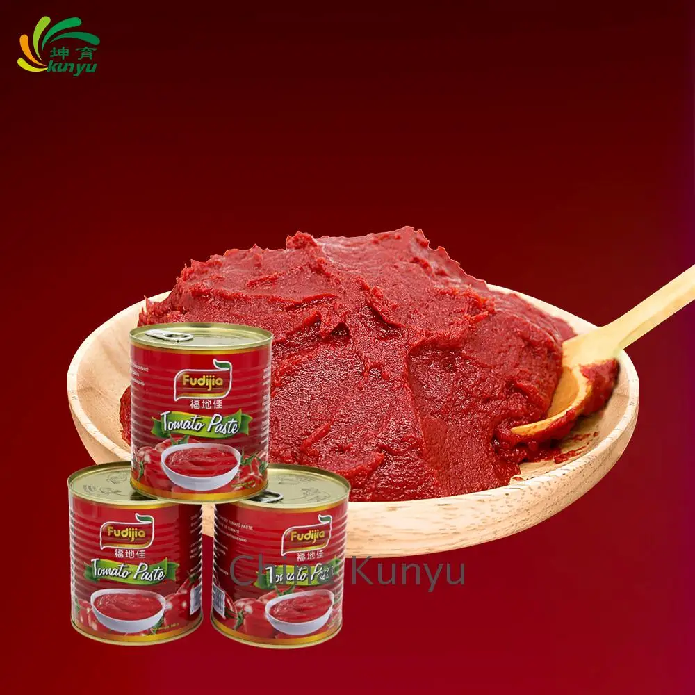 Delicious Canned Tomato Paste Bulk Canned Tomato Paste Tin 100% Natural Wholesale Salty Tomatoes For Cooking