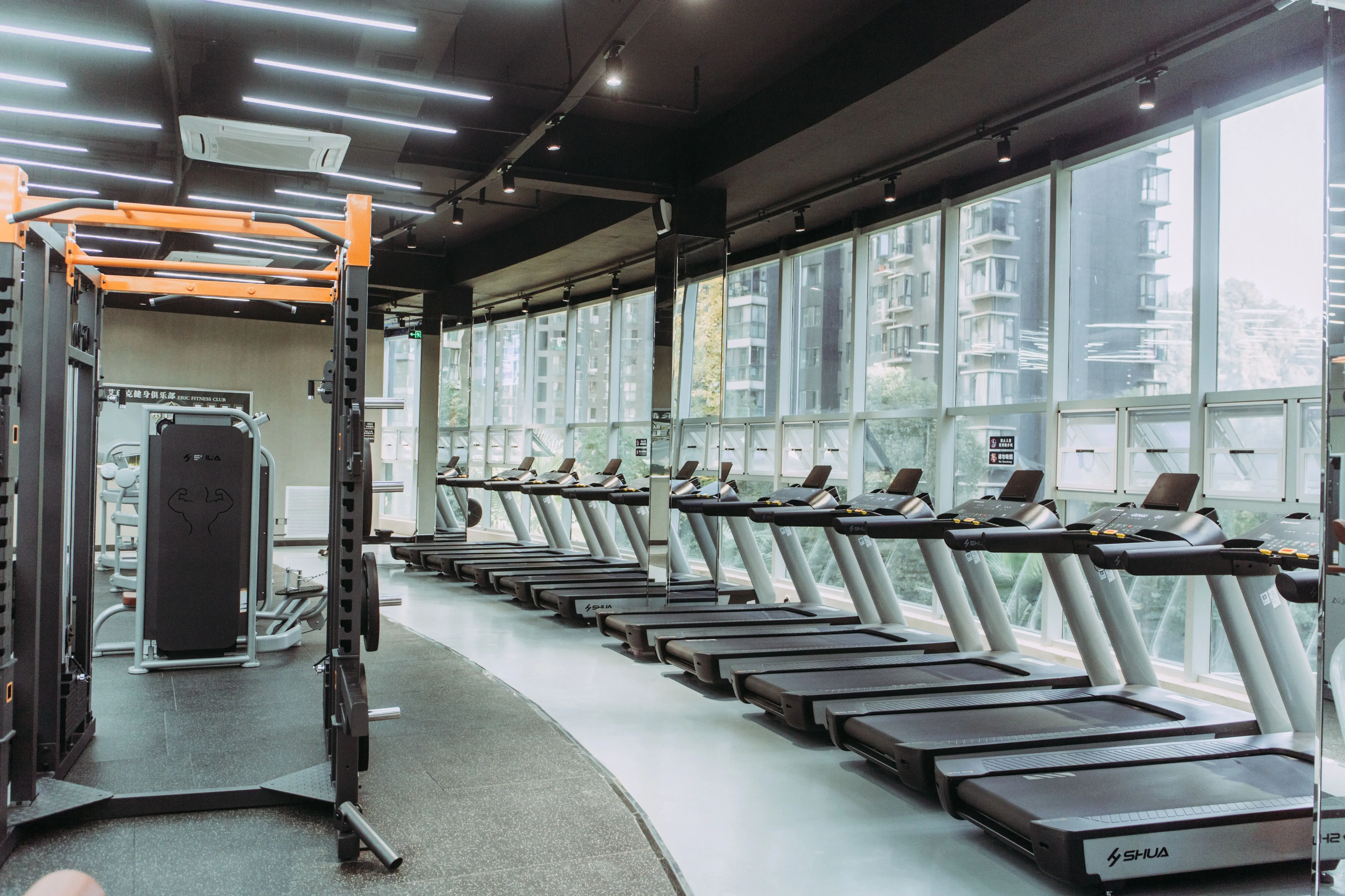 SHUA SH-G8903 Power rack fitness equipment Shua fitness gym fitness equipment machine supplier and manufacturer