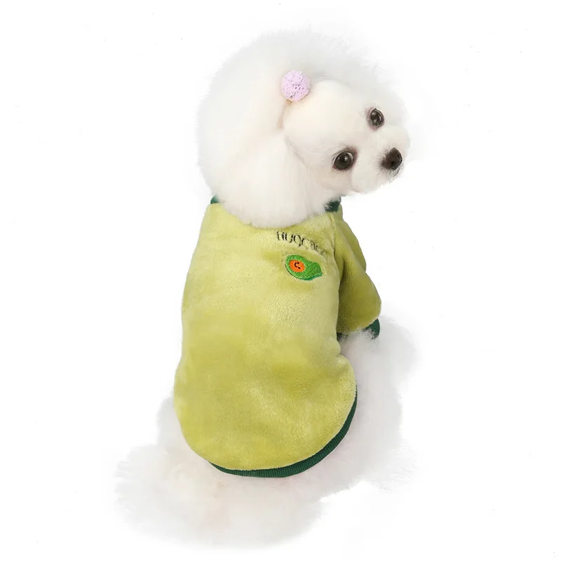 Winter new pet clothing two legs cashmere coat 20 fruit cashmere coat