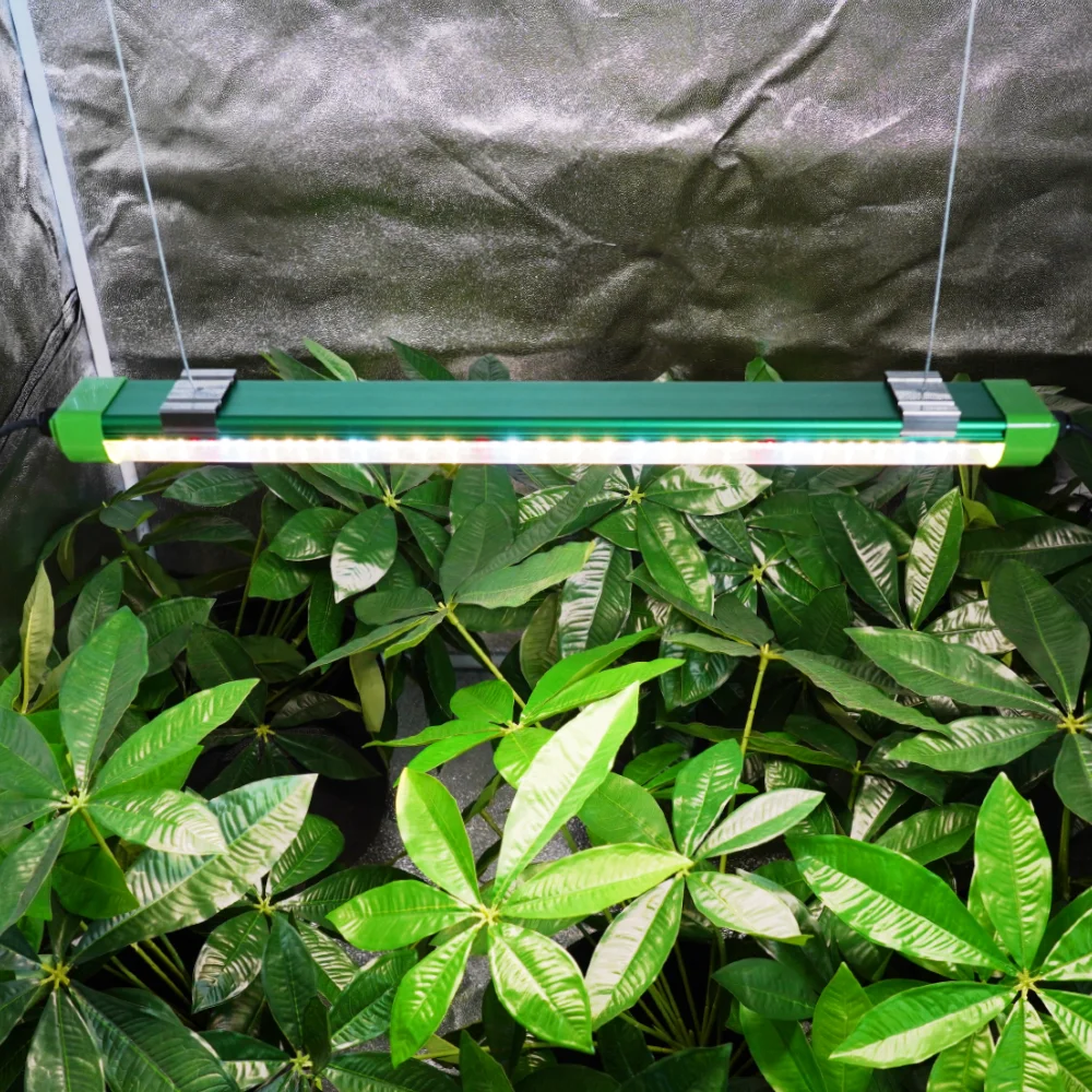 Low MOQ 2ft 4ft 8ft Samsung Full Spectrum 30W 50W 70W High Yield 600mm 1200mm transparent T8 led LED tube lighting angle price