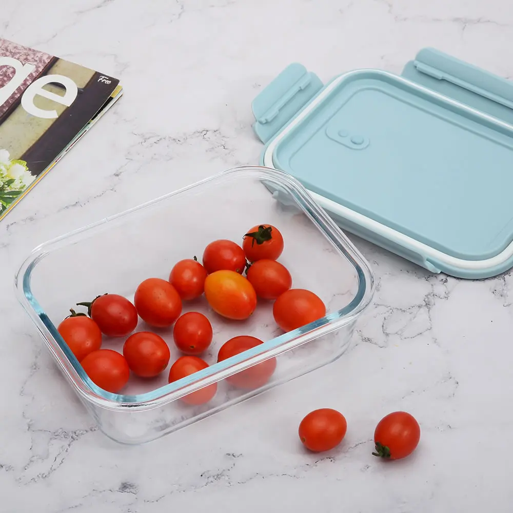 Modern Style Fresh Blue Lid Salad Container Dry Food Storage Box
