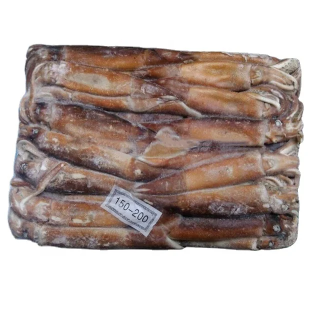 Argentina Squid For Tuna Bait Squid Raw Material