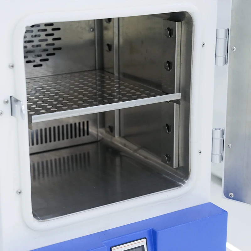 BIOBASE China High Quality Incubator Laboratory 30L Constant Temperature Incubator For Biological Lab