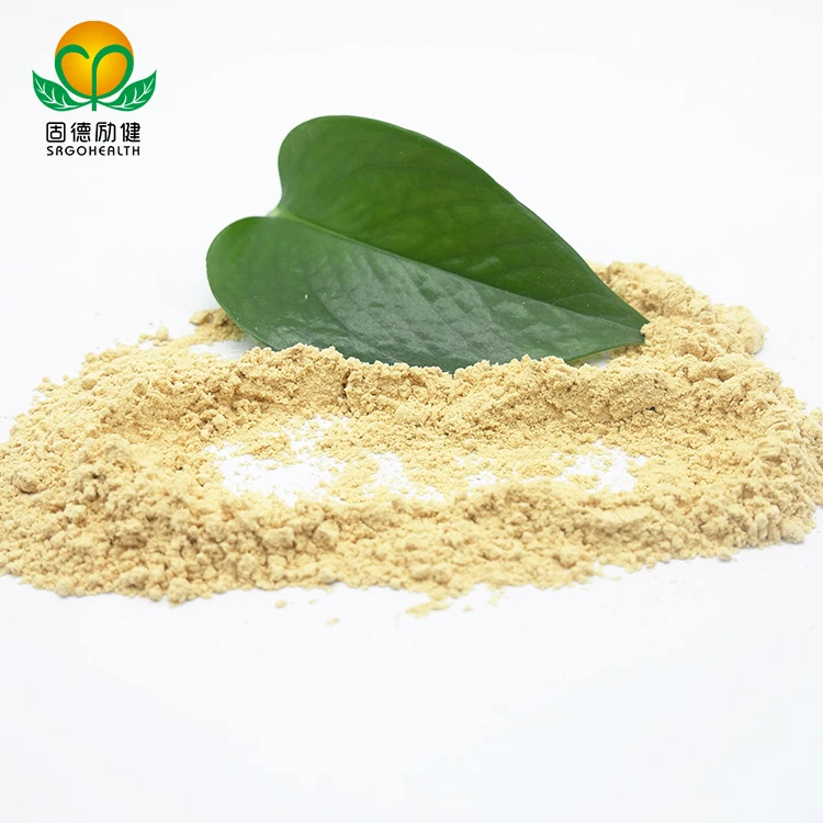 Organic Mushroom  Hericium Erinaceus Extract Powder