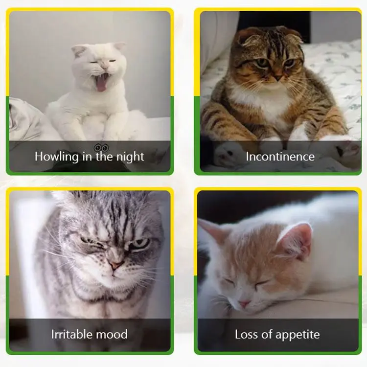 Заводская поставка по хорошей цене пробиотик для домашних животных пищевая добавка кошек уход за здоровьем