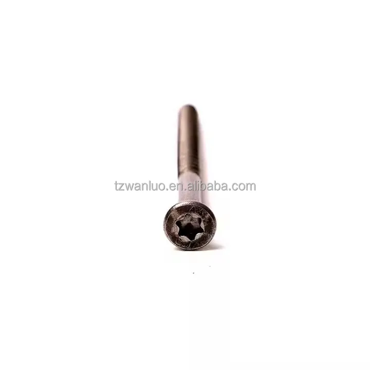 OEM professional big size SS304 SS316 torx head stainless steel A2/A4 concrete screws for solar Mounting