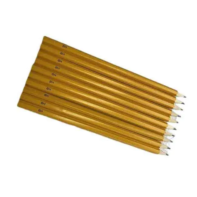 Customized Sprout Colour Pencils Forget me not Made from Certified Wood Plantable Pencil