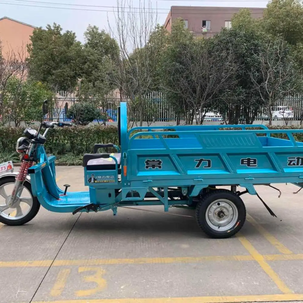 ChinaChangLi  factory direct selling electric freight car/gas tricycle/e rickshaw
