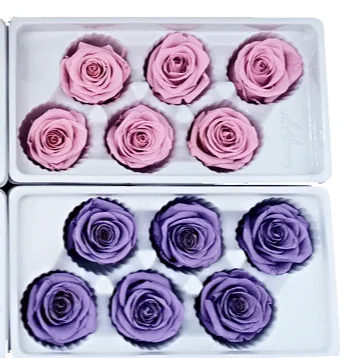 Hot selling low price diy Decorative Flowers  preserved stabilized roses