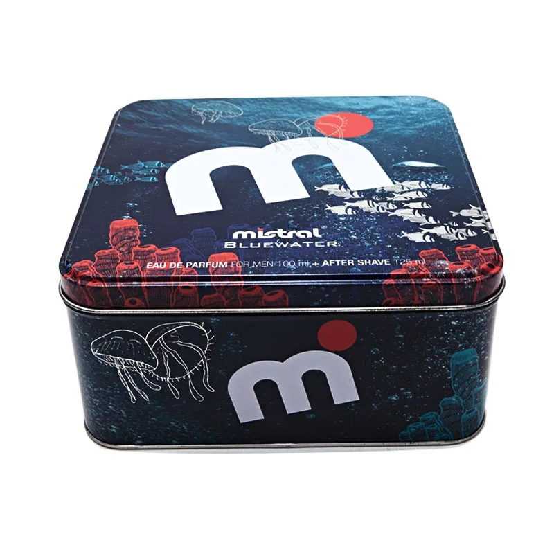 Tin Box Rectangular metal biscuit cookie chocolate candy packaging tin box