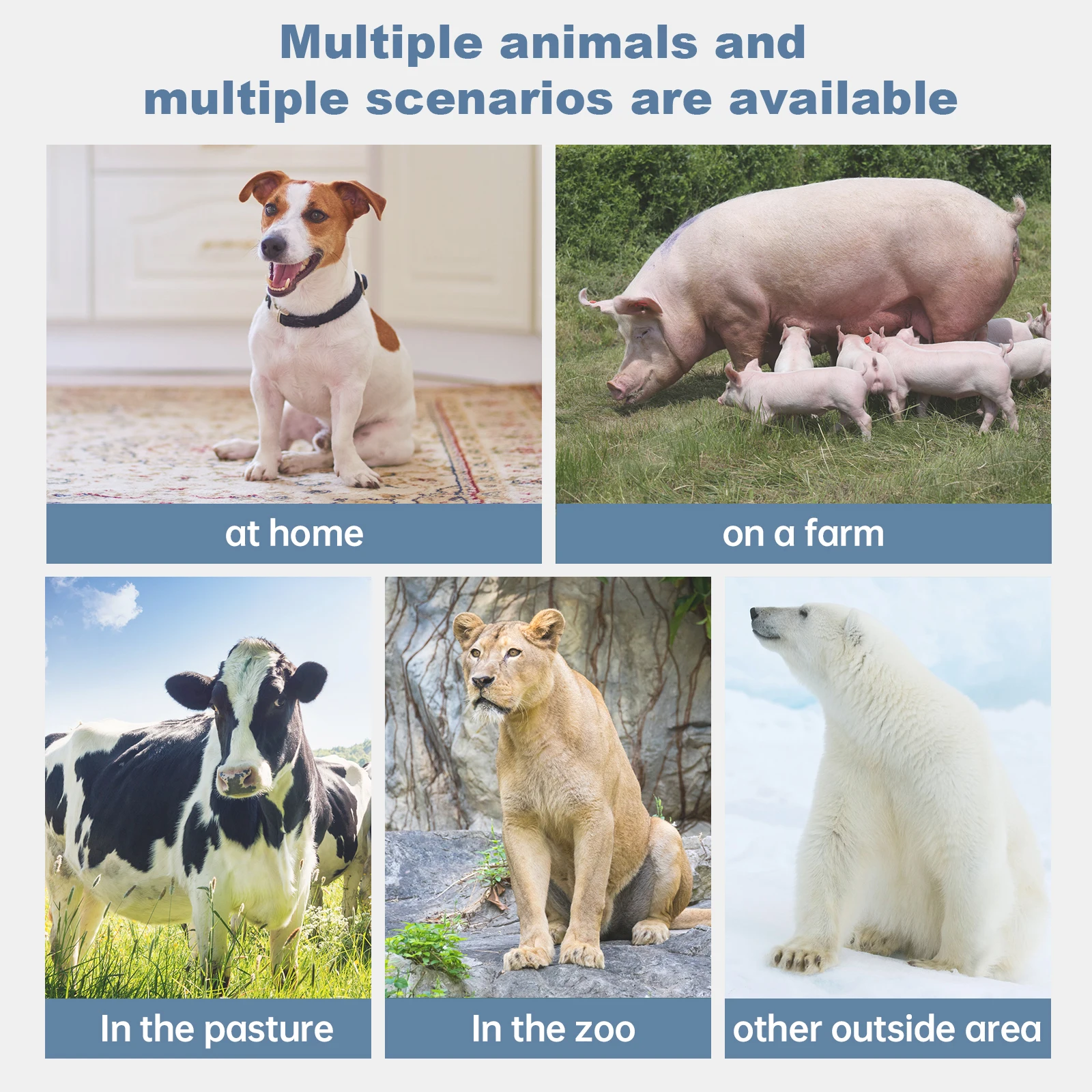 Dawei Portable Vet Ultrasound Rectal Linear Probe Cattle Pregnancy Scanner For Sale