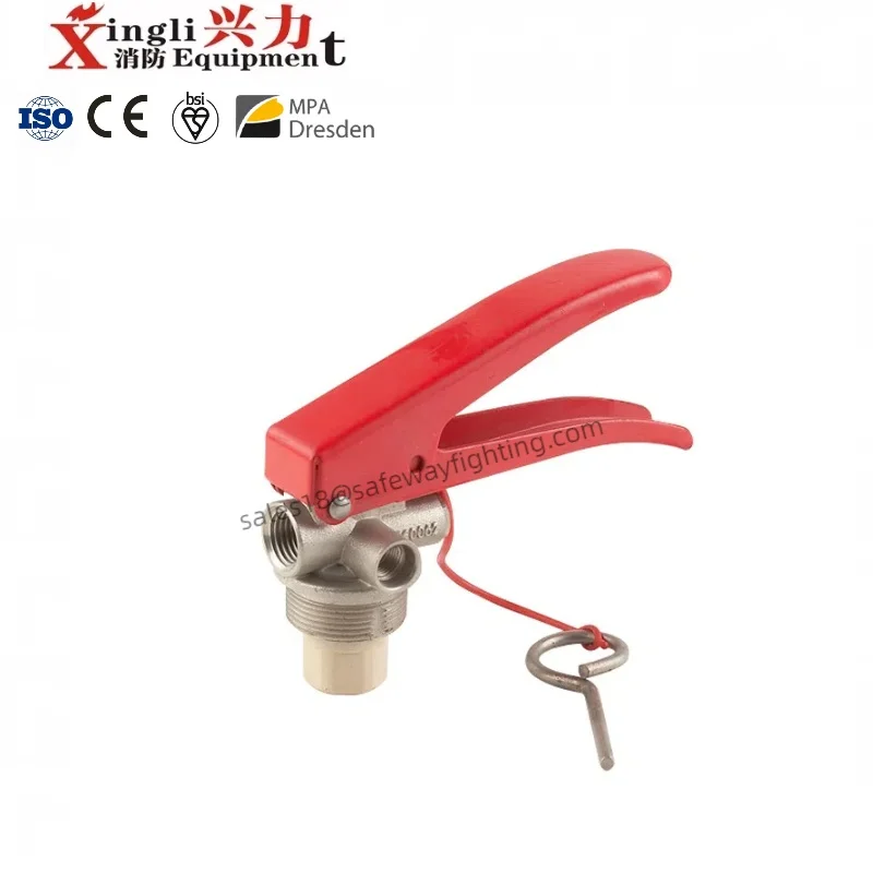 Factory Direct Sale High Quality 4KG Mexico Type Fire Extinguisher Valve