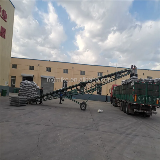 Top Choice Vegetable Seeds Pumpkin Seeds Green Squash Seeds with Premium Quality