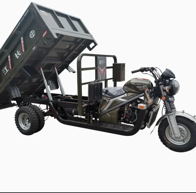 3 Wheel Gasoline Motor Cargo Motorcycles 200cc 250 Cc Sports Tricycle Motorbike Open