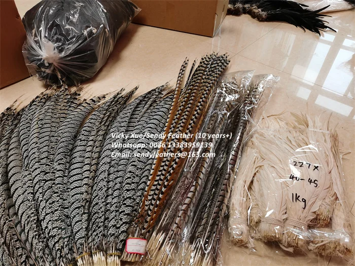 90-100cm Lady Amherst Center Tail Feathers Popular Pheasant Feathers for Carnival Costumes