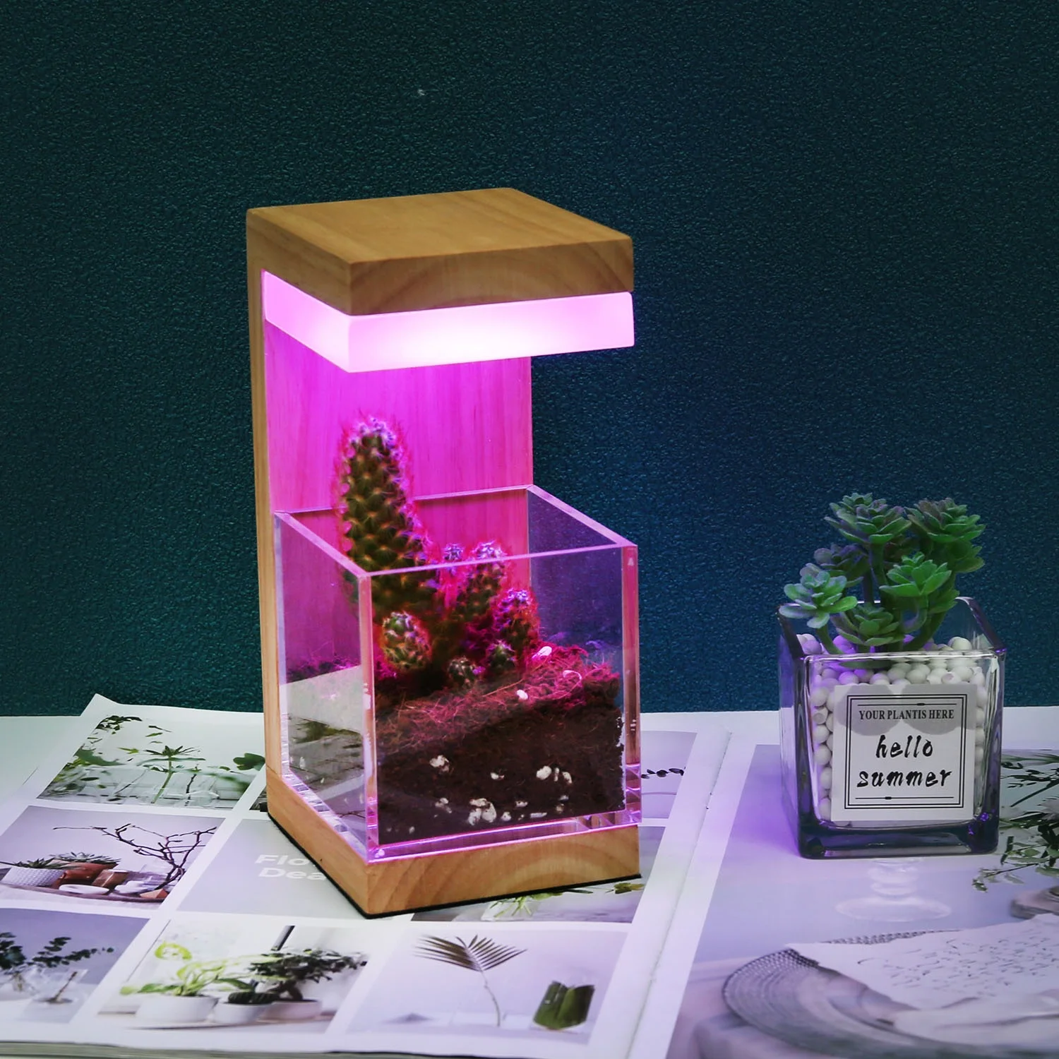 7 цветов RGB светодиодные фонари спальня украшения Настроение лампы USB деревянный ночной свет для выращивания растений