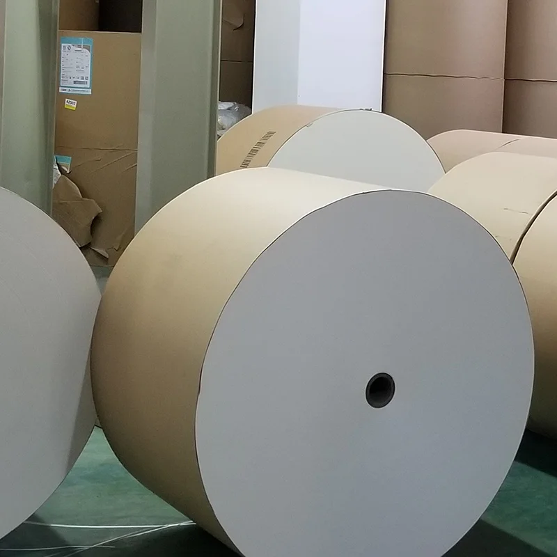 Бумажный сырьевой материал 190gsm 200gsm 210gsm 240gsm бумажный стаканчик сырье pe с покрытием Рулон