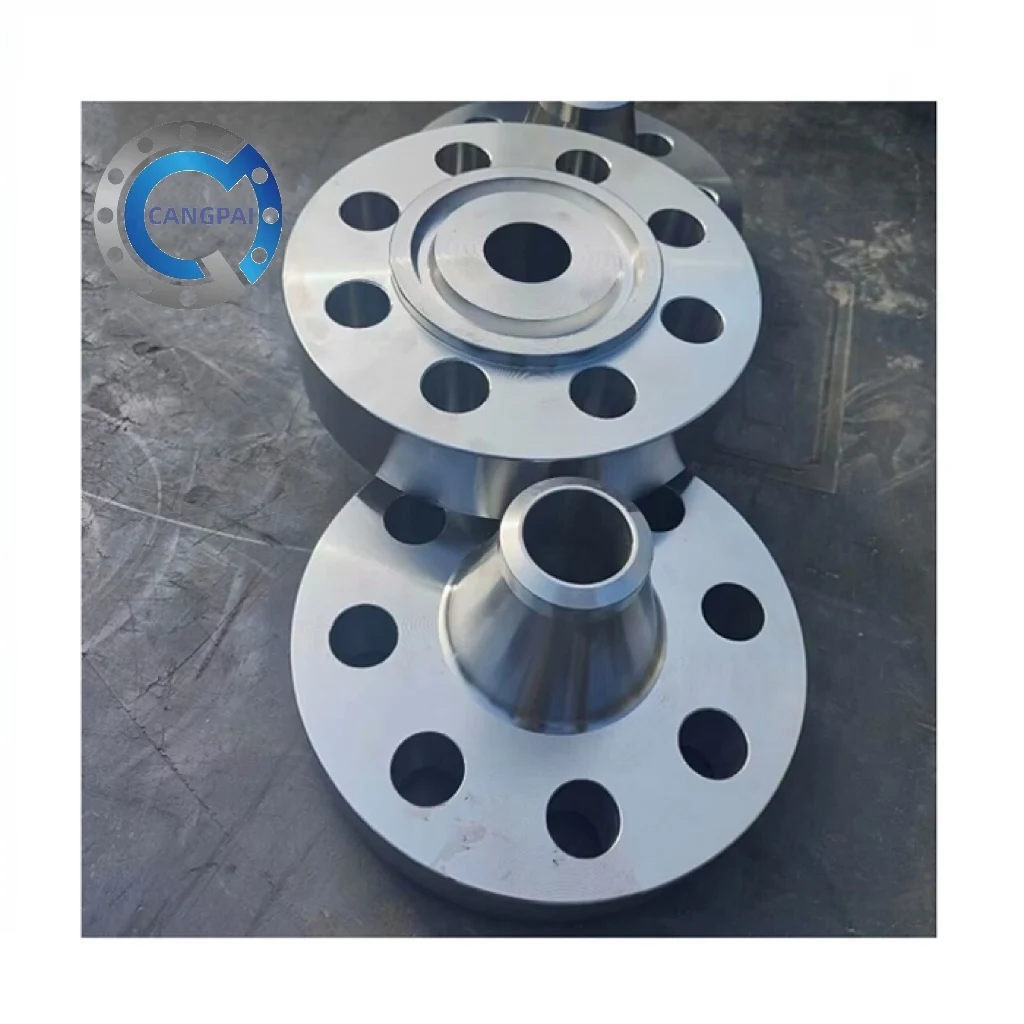 CANGPAI Manufacture Din 2566 ANSI AMSE B16.5 B16.47 dn80 flange 32 inch large flange price pn16 dn150 flange