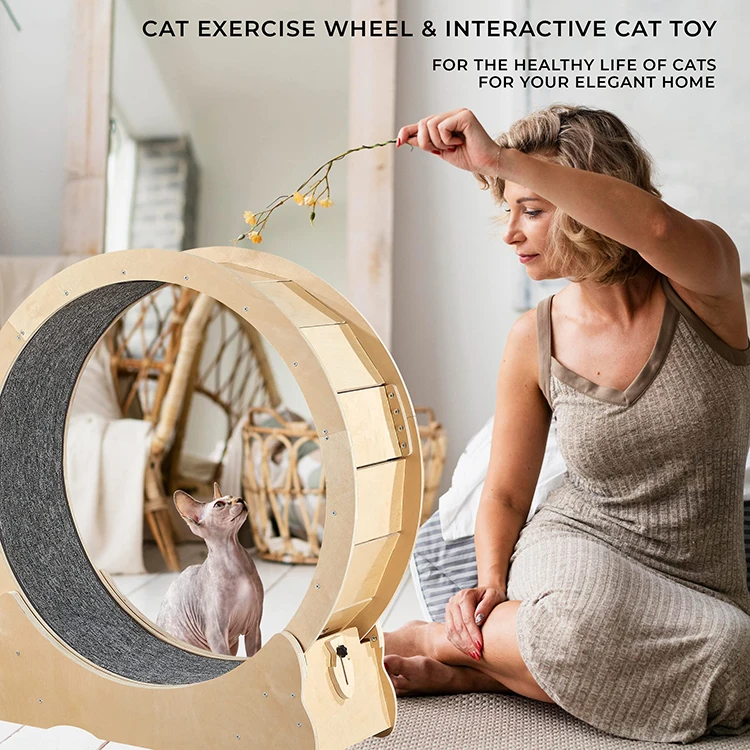 Household Interactive Tread Exercise Running Wheel Climbing Frame Fiberboard Treadmill Circle Track Cat Toys