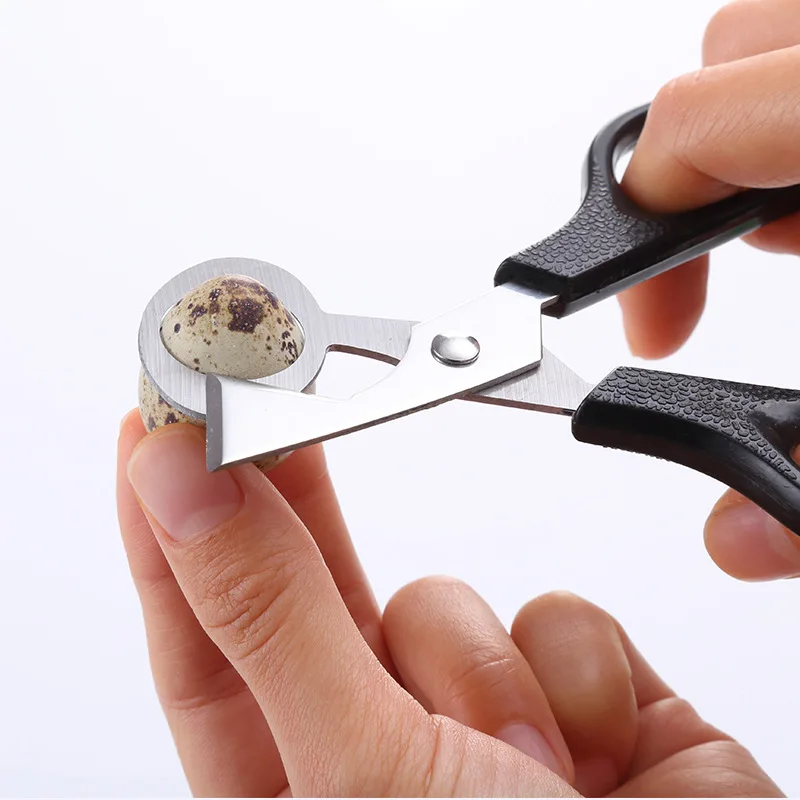 Hot Sale Kitchen Accessories Wholesale Mini Pigeon Quail Egg Scissors