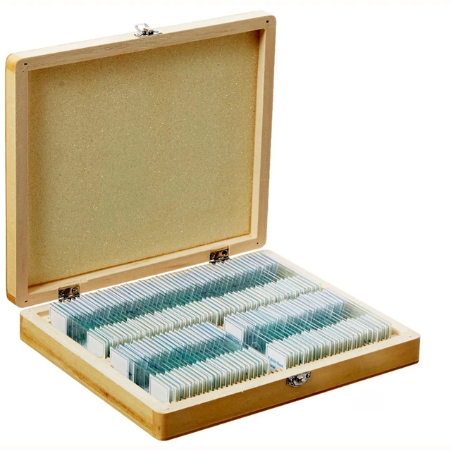 Fixed 100 Items Different Prepared Microscope Histology Slides Set