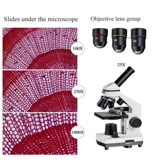 
NP-SM02 Dual LED Student Educational Mono Microscope 40x-640x 