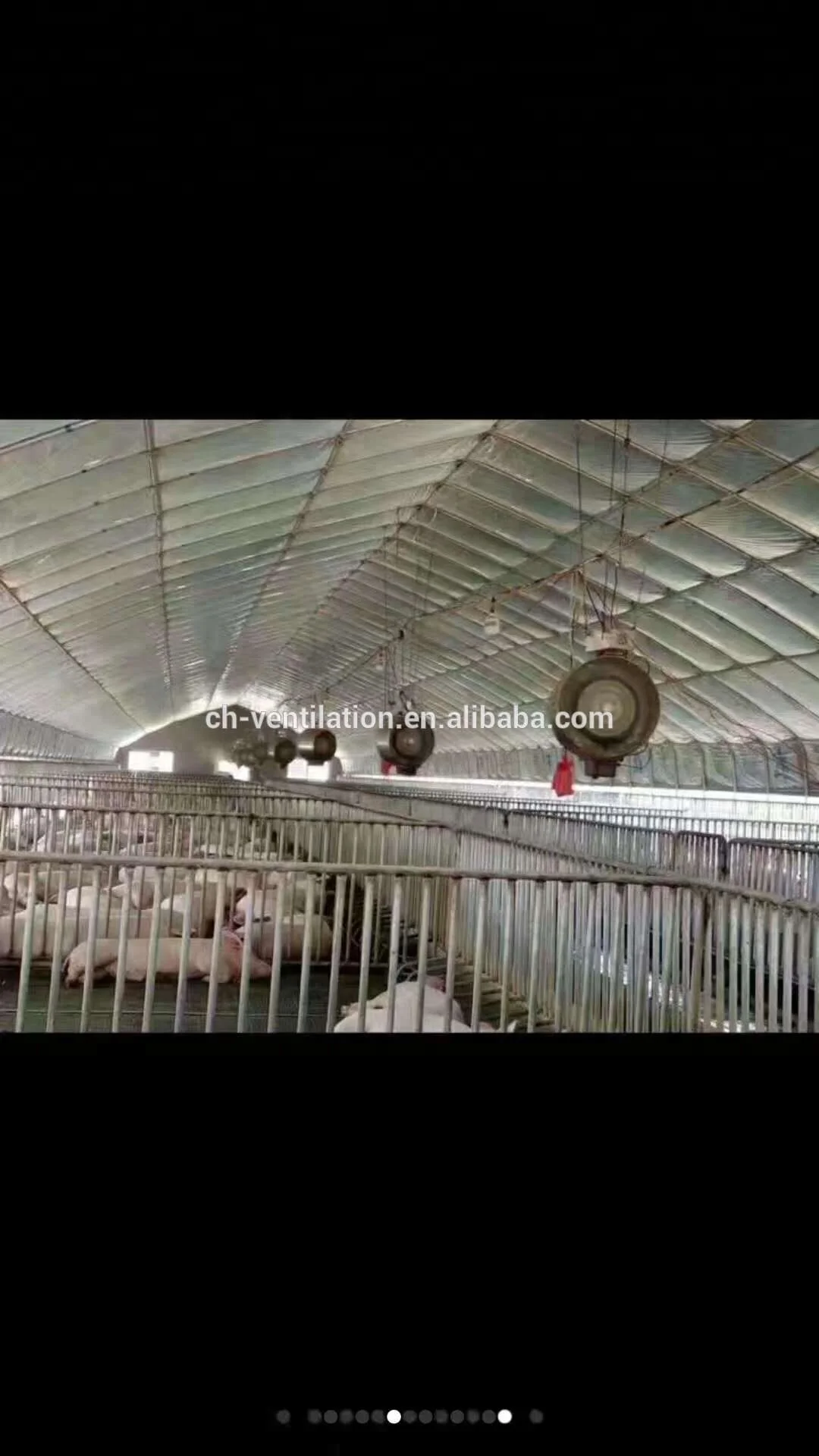 Summer flower house low down  temperature agricultural greenhouse spray fan