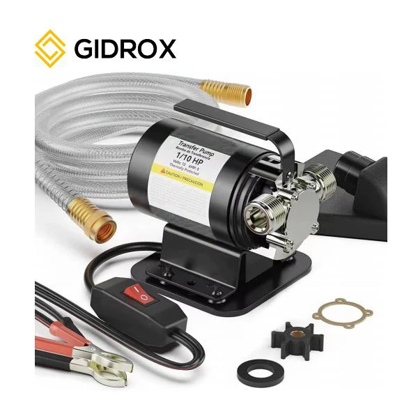 12V DC 1/10 HP portable garden hose pump mini stainless steel self-priming Water Transfer Pump with on/off switch