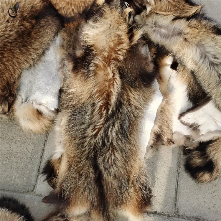 raccoon pelt (5).jpg