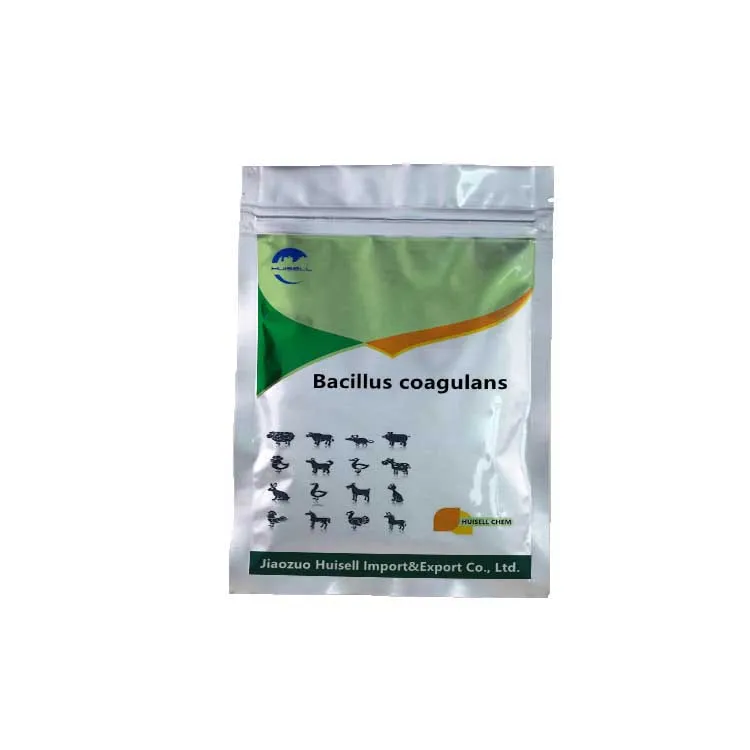 Новый продукт, пищевые ингредиенты, пробиотик в порошке, Bacillus Subtilis Coagulans