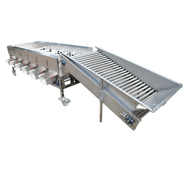 Automatic Apple Dates Potato Blueberry Fruit Sorting Grading Machine Silver Steel Key Stainless
