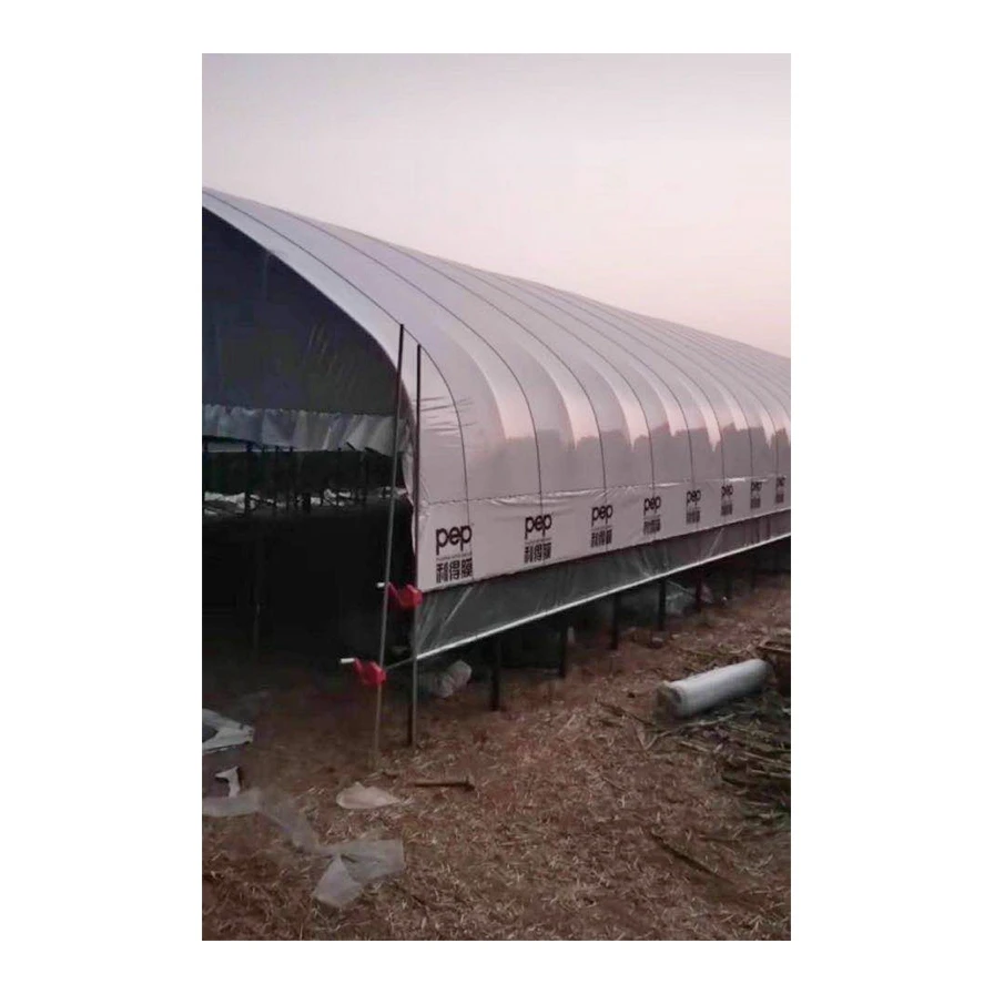 New Type growing racks for greenhouse insect net greenhouse agricultural plastic polyethylene film greenhouse