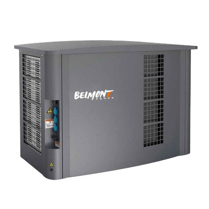 5.5kw 6kw 230v 400v 20kva 25kva 36kva 20kw 22kw 23kw 300kva Home Standby Powered Inverter Electric Home Natural Gas Generator