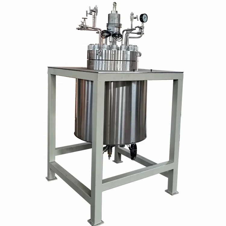 Borui 500L Electric Heating Liquid Mixing Tank Reactor with Agitator