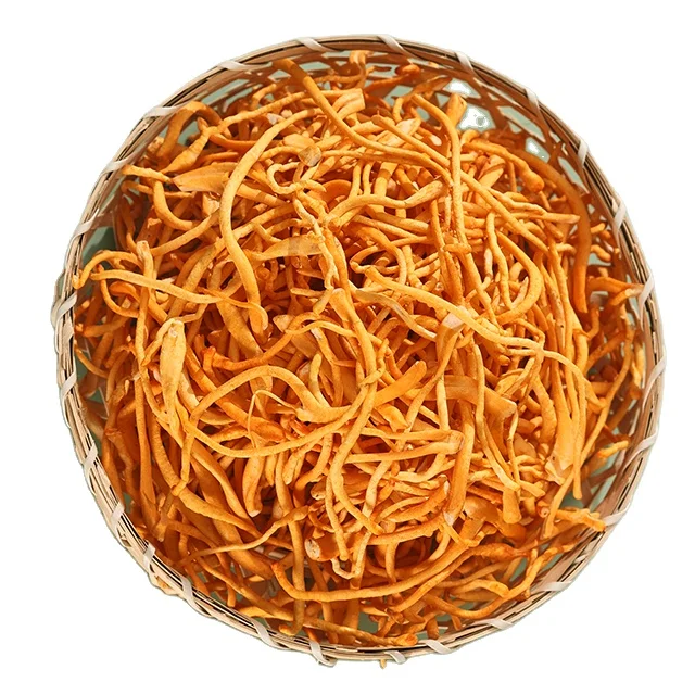 CHINA finc fresh mushroom plant whole  mushroom cordyceps militaris Cherish edible mushrooms