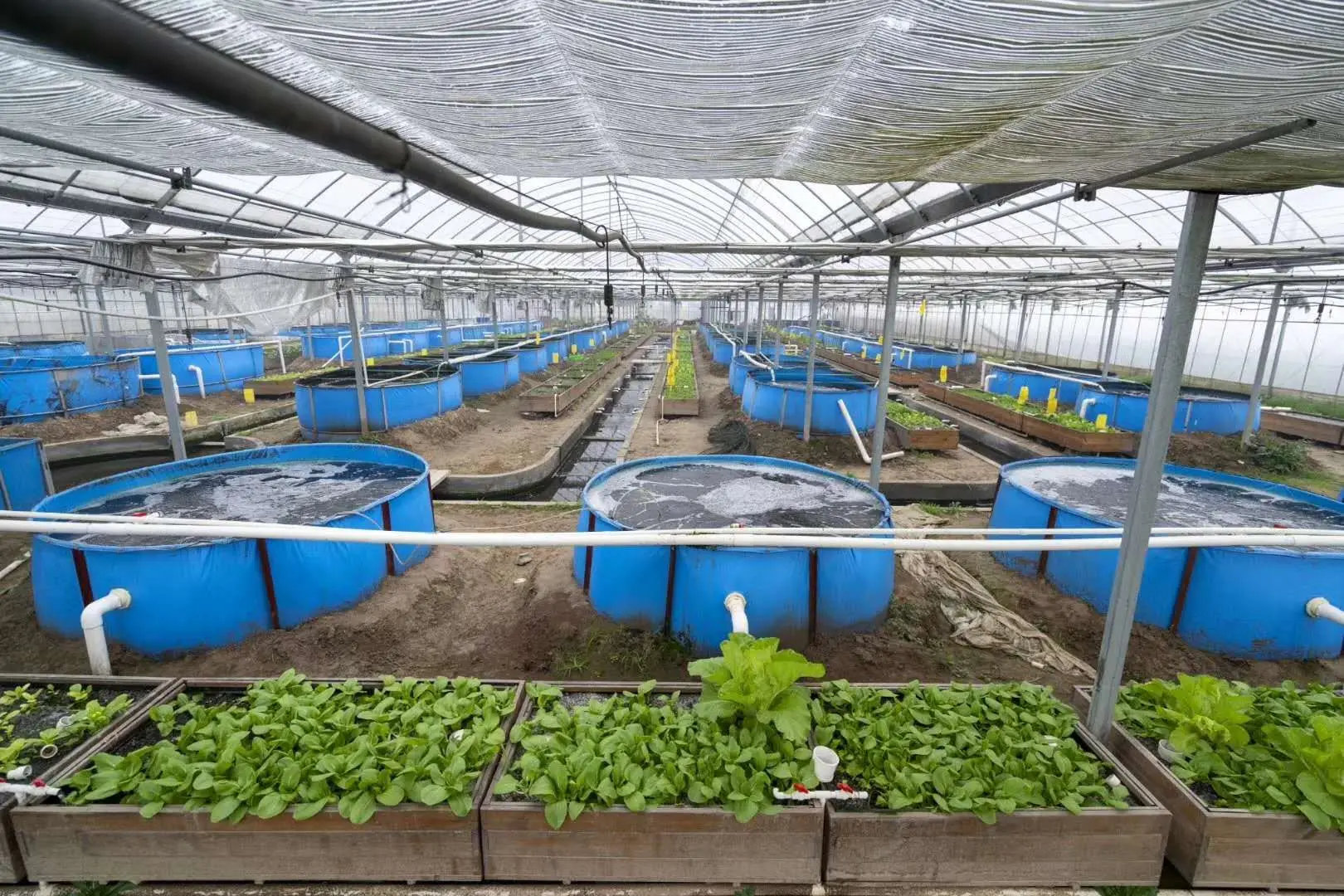 Синий аквариумный брезент Biofloc с ПВХ-покрытием складной для аквакультуры